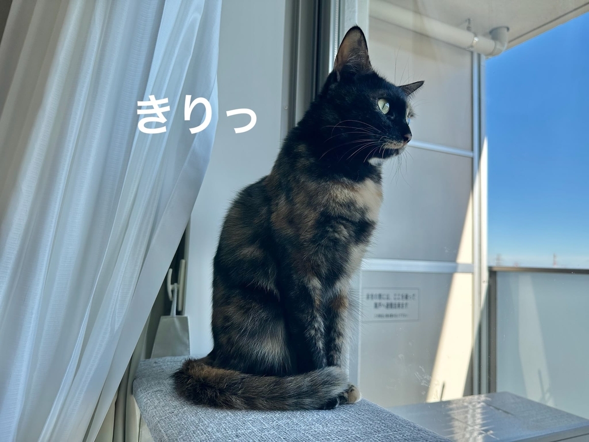 横顔美人のもなちゃん