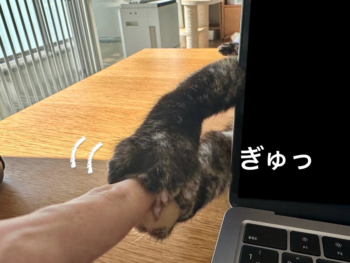 チラ見えするお手手2