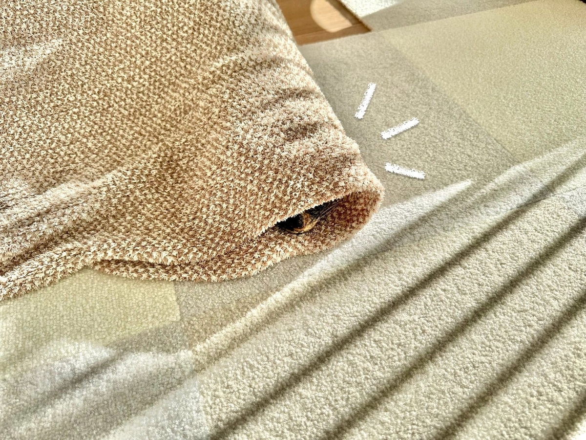 おくるみもなちゃん1