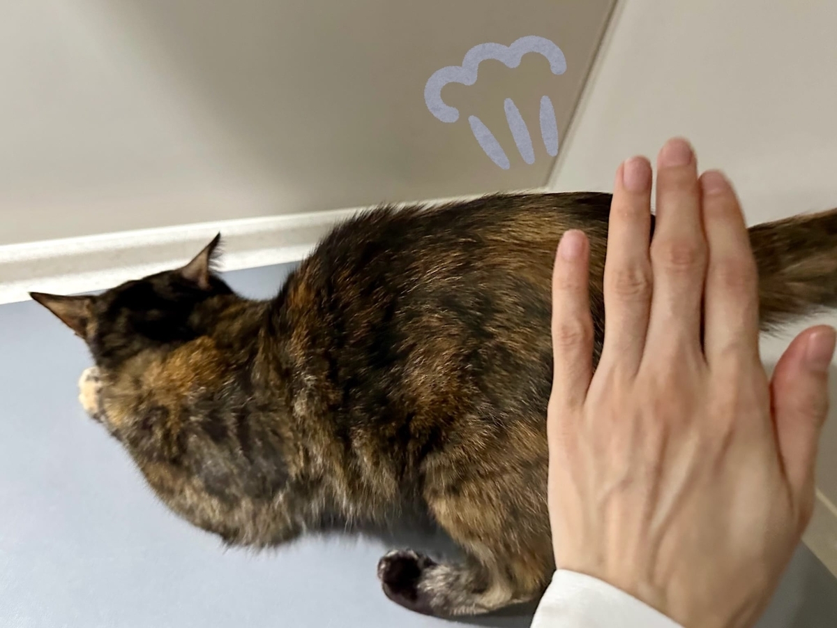 おしりとんとん