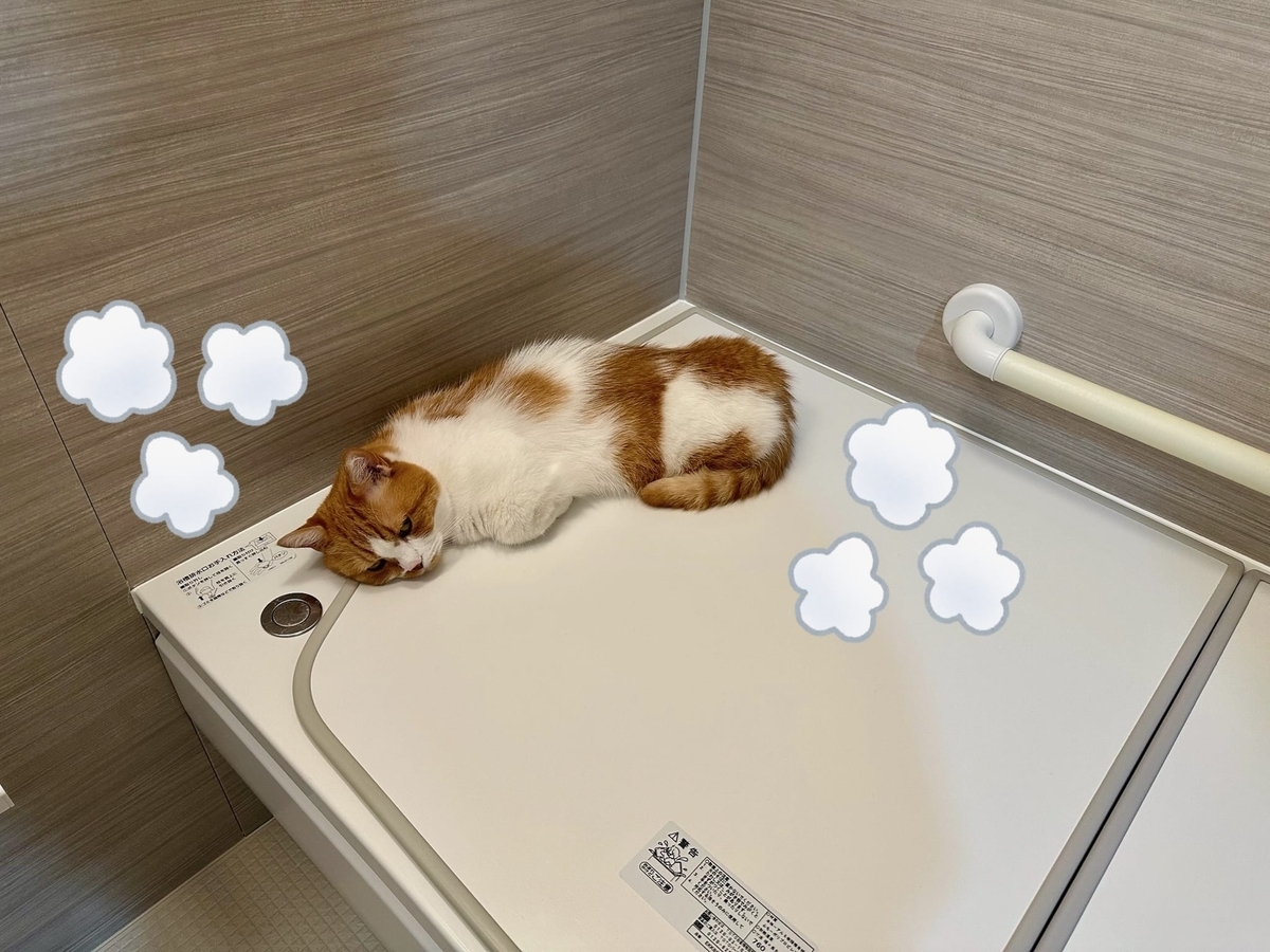 お風呂の蓋であたたまるるるちゃん