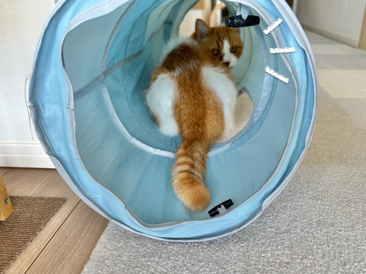 トンネルのるるちゃん