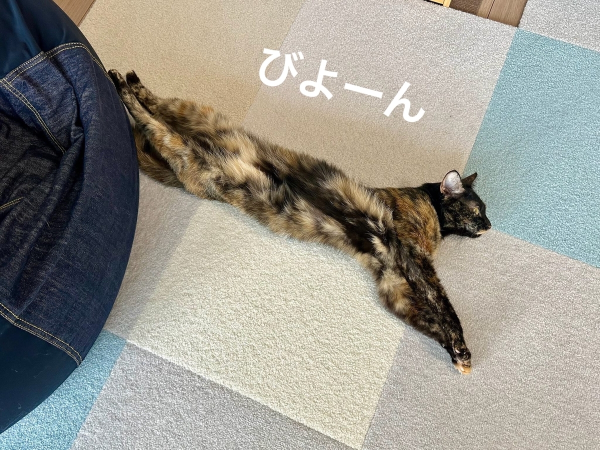 のびるもなちゃん