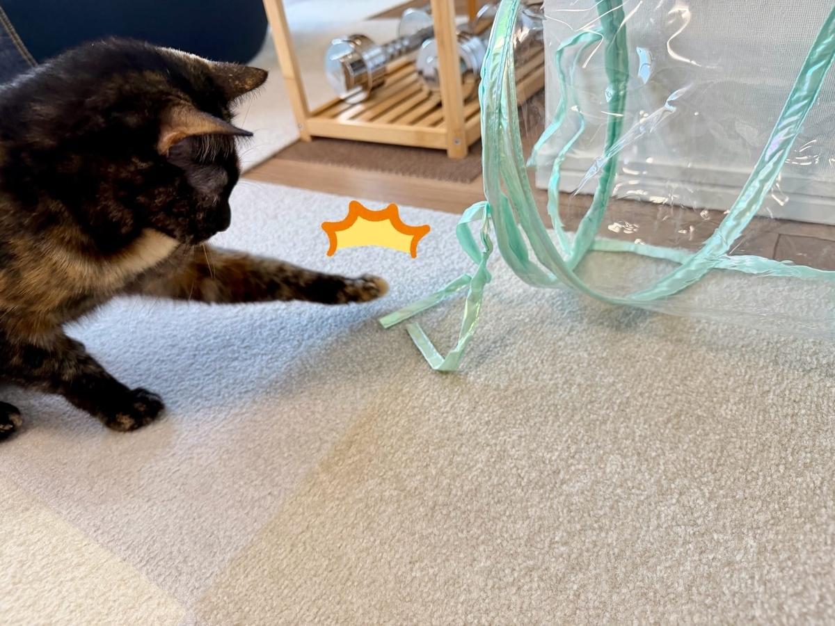 新しいトンネルとるるもな3