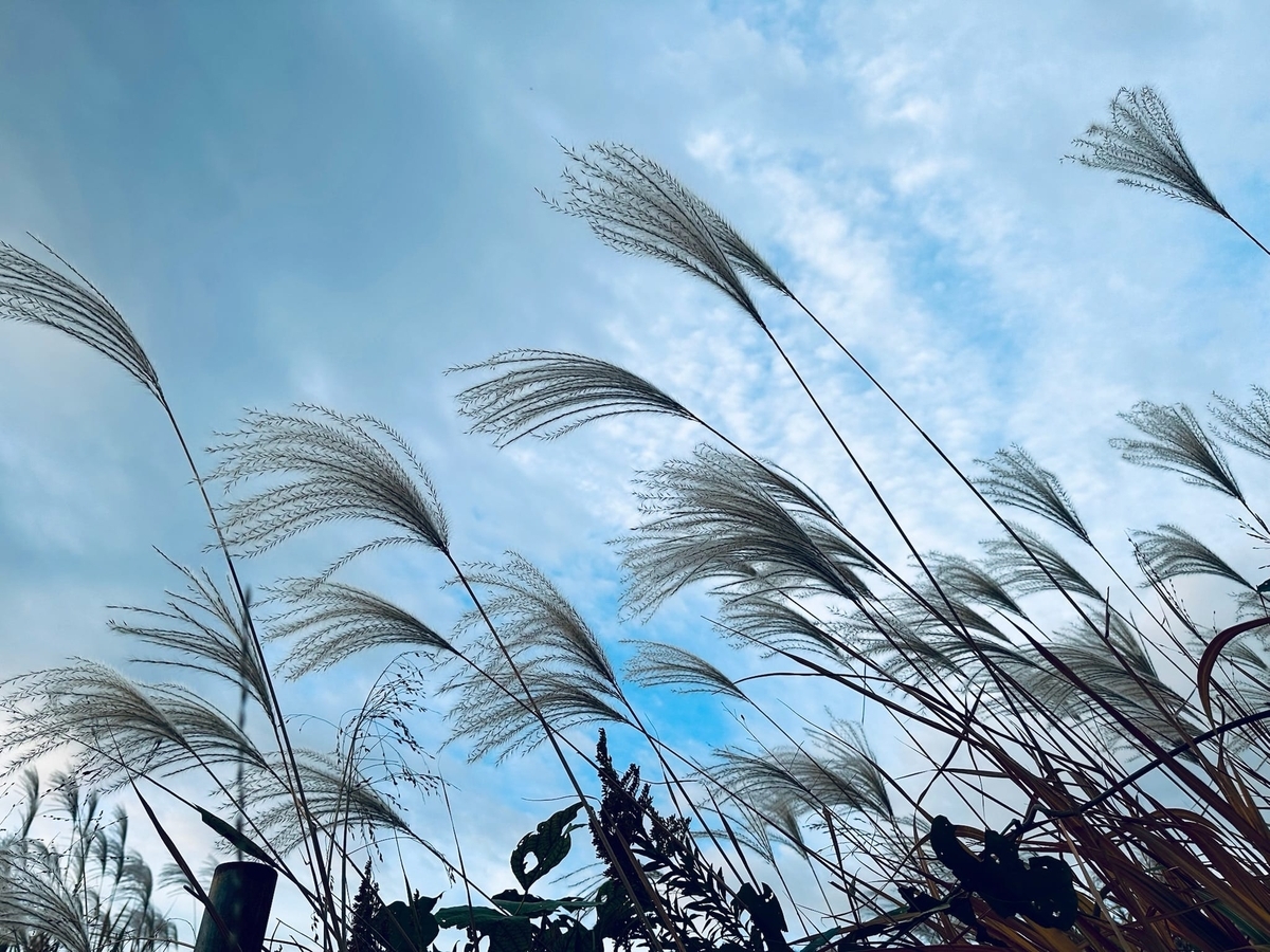 寒空