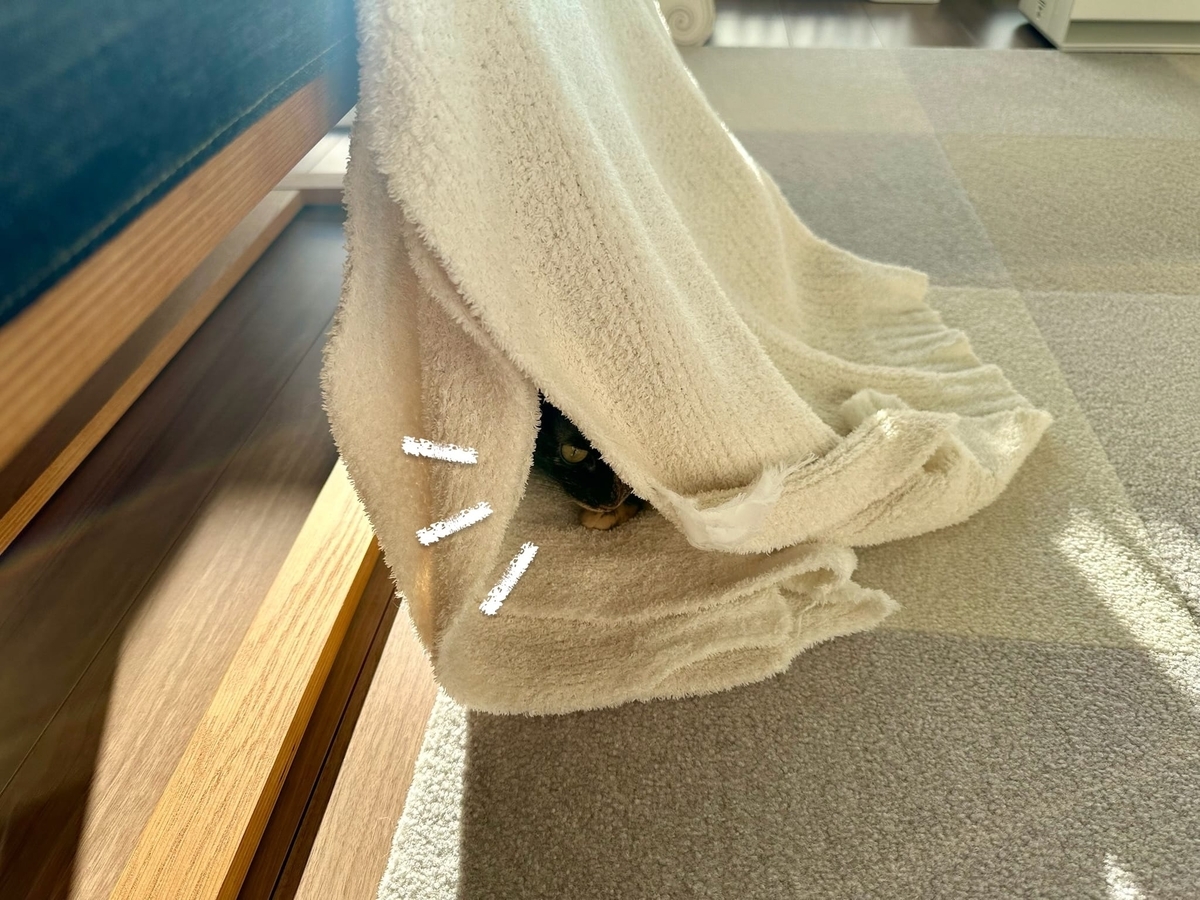 秘密基地のもなちゃん1