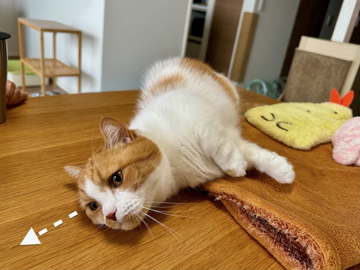 山椒にうっとりするるるちゃん3