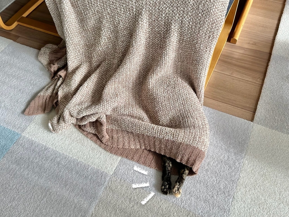 お手手ひょっこりもなちゃん1