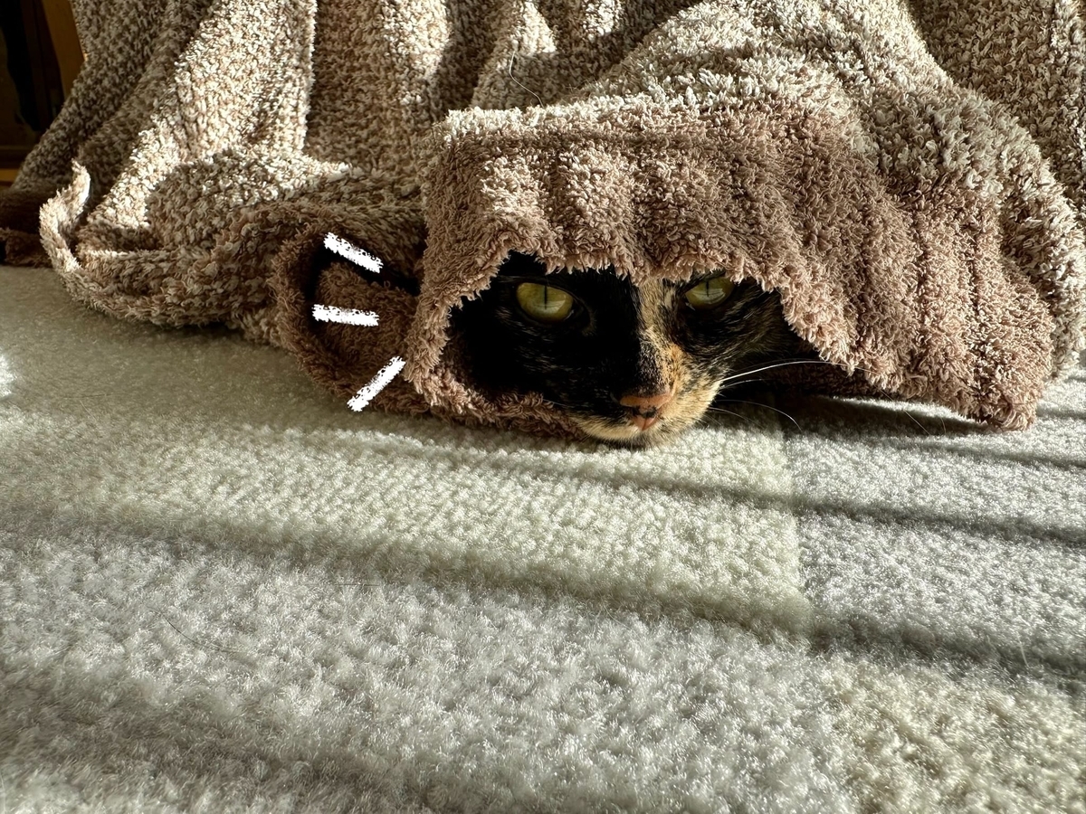 ぬくぬくもなちゃん1