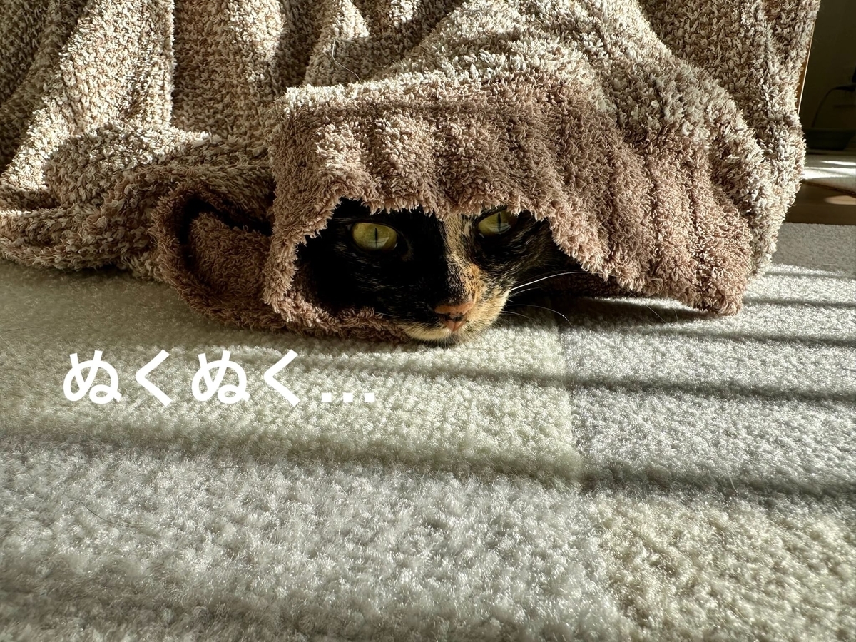 ぬくぬくもなちゃん2