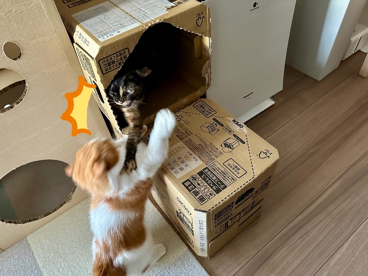 段ボールでキャットタワー2