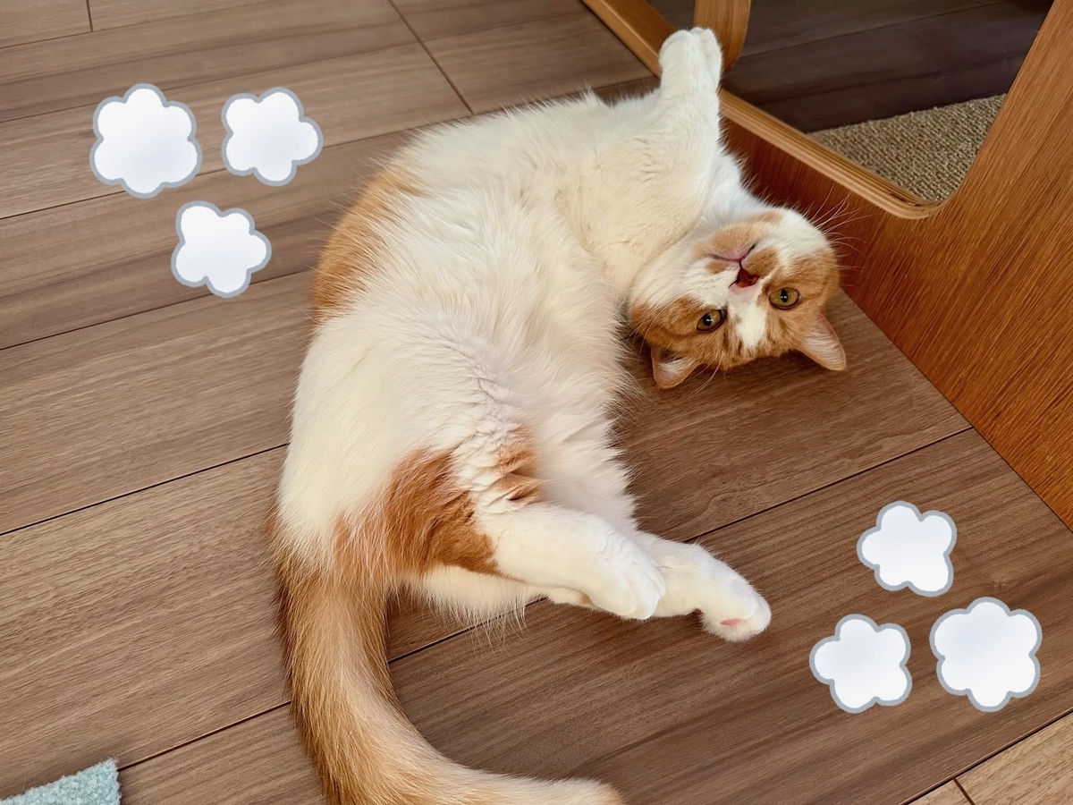 床暖にとろけるるるもな2