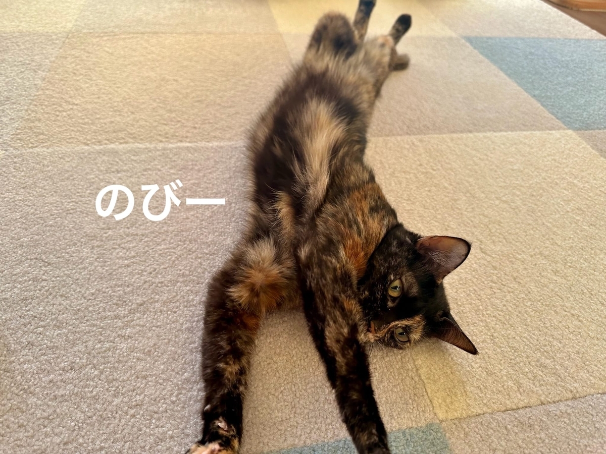 床暖にとろけるるるもな4