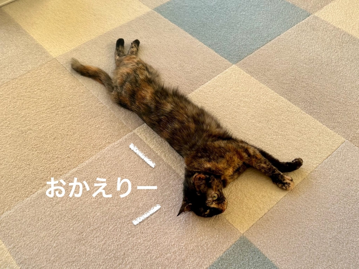 床暖にとろけるるるもな3