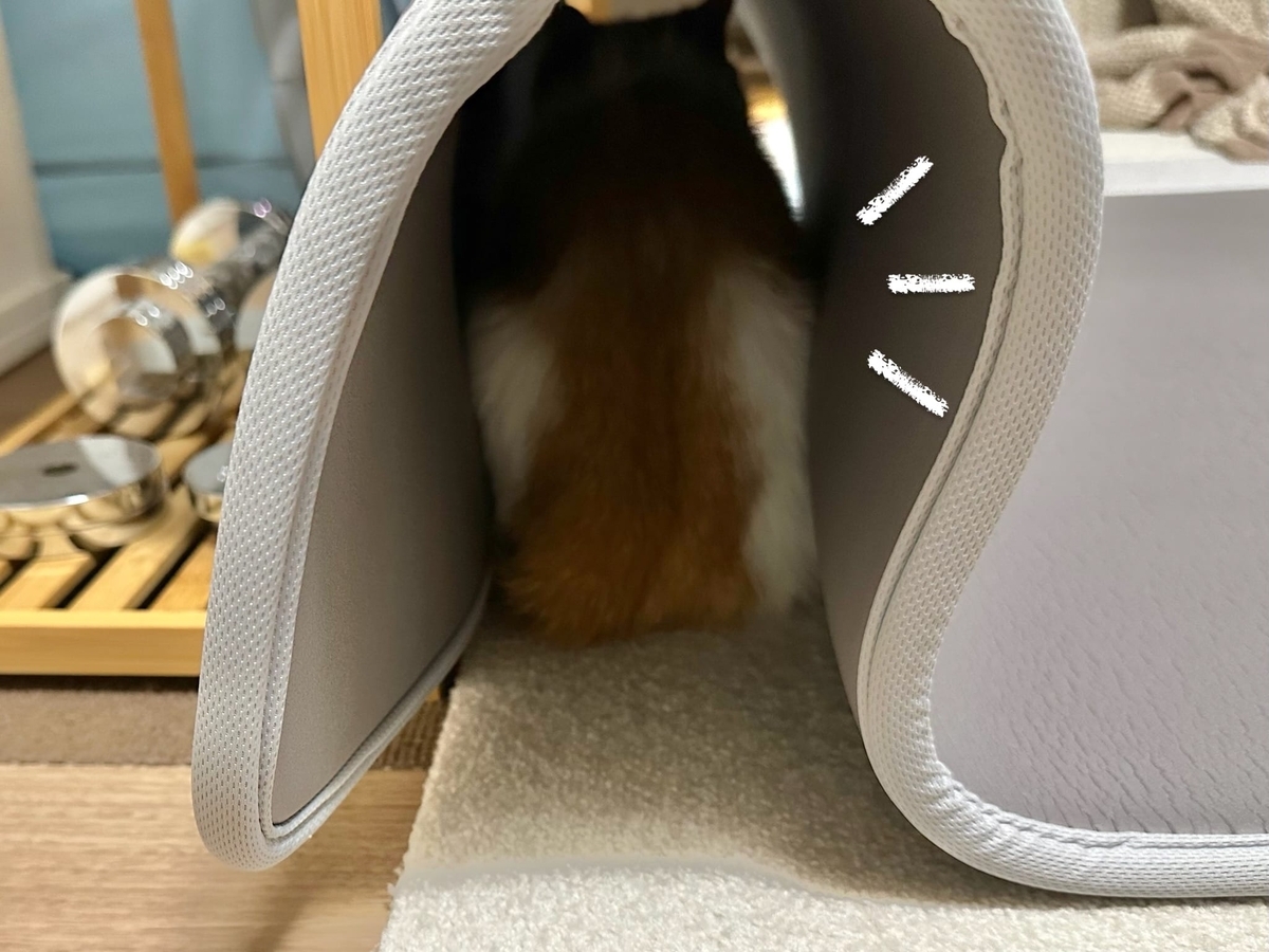 マットの中に潜り込むるるちゃん1