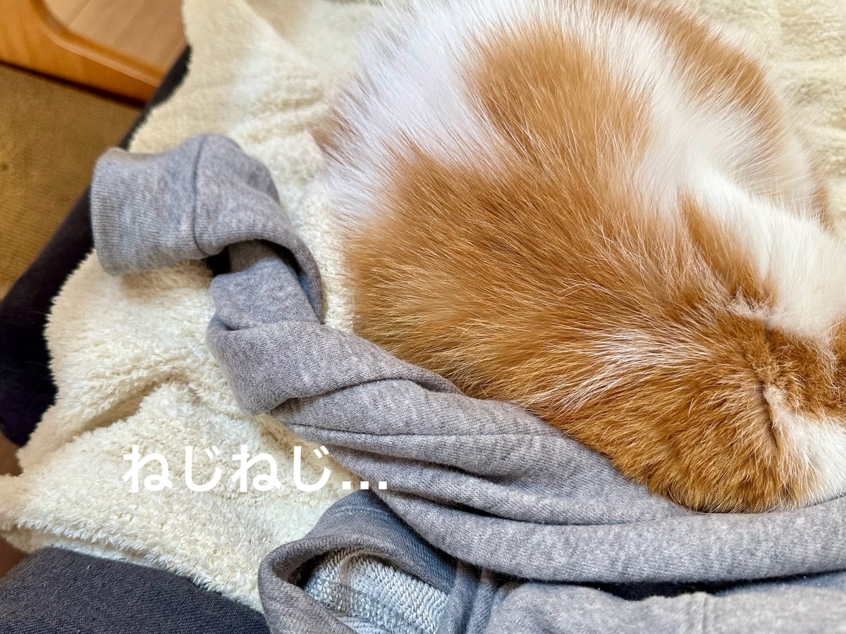 ねじねじされた袖