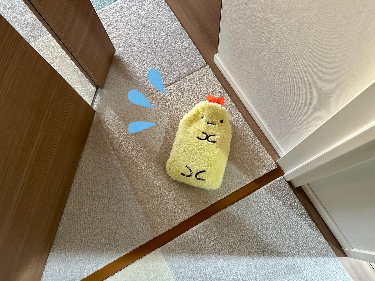 もなちゃんの落とし物1