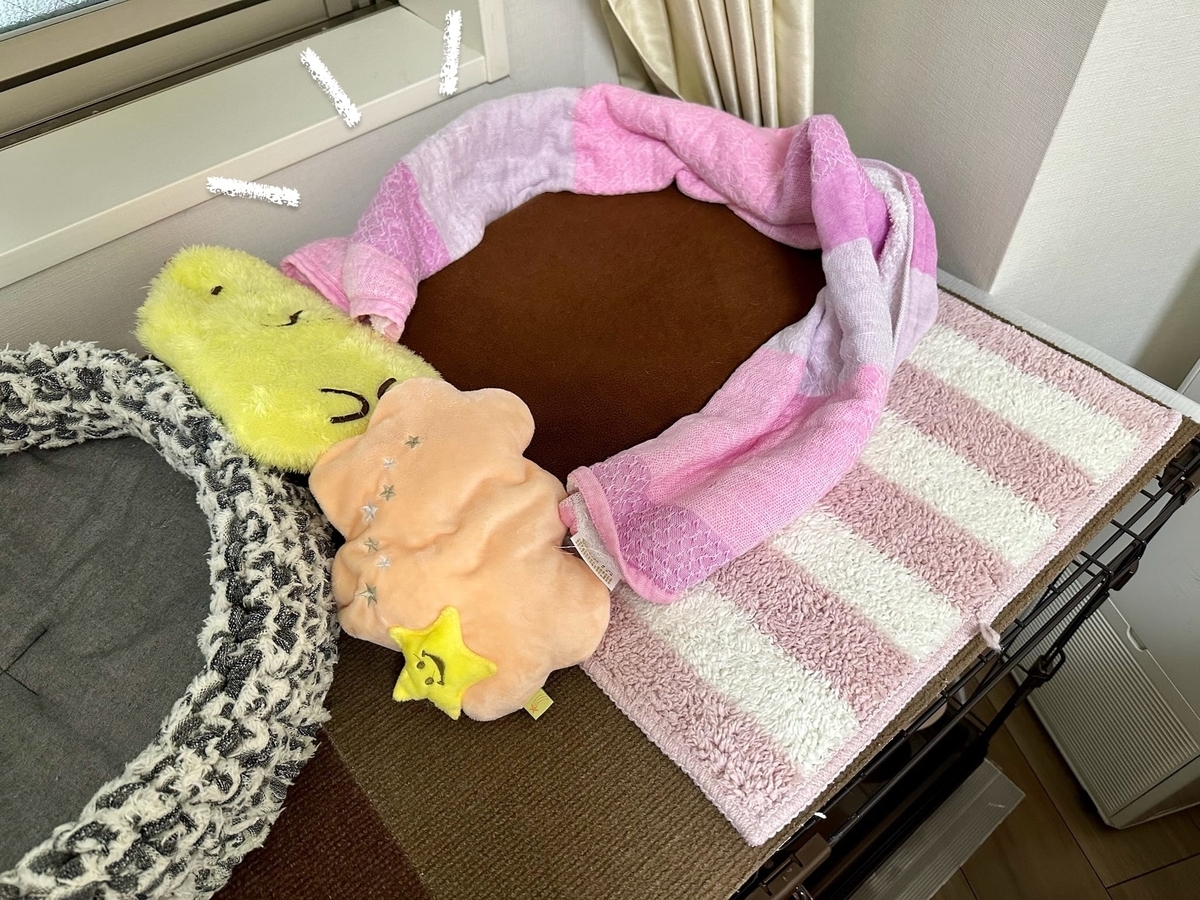もなちゃんの寝床