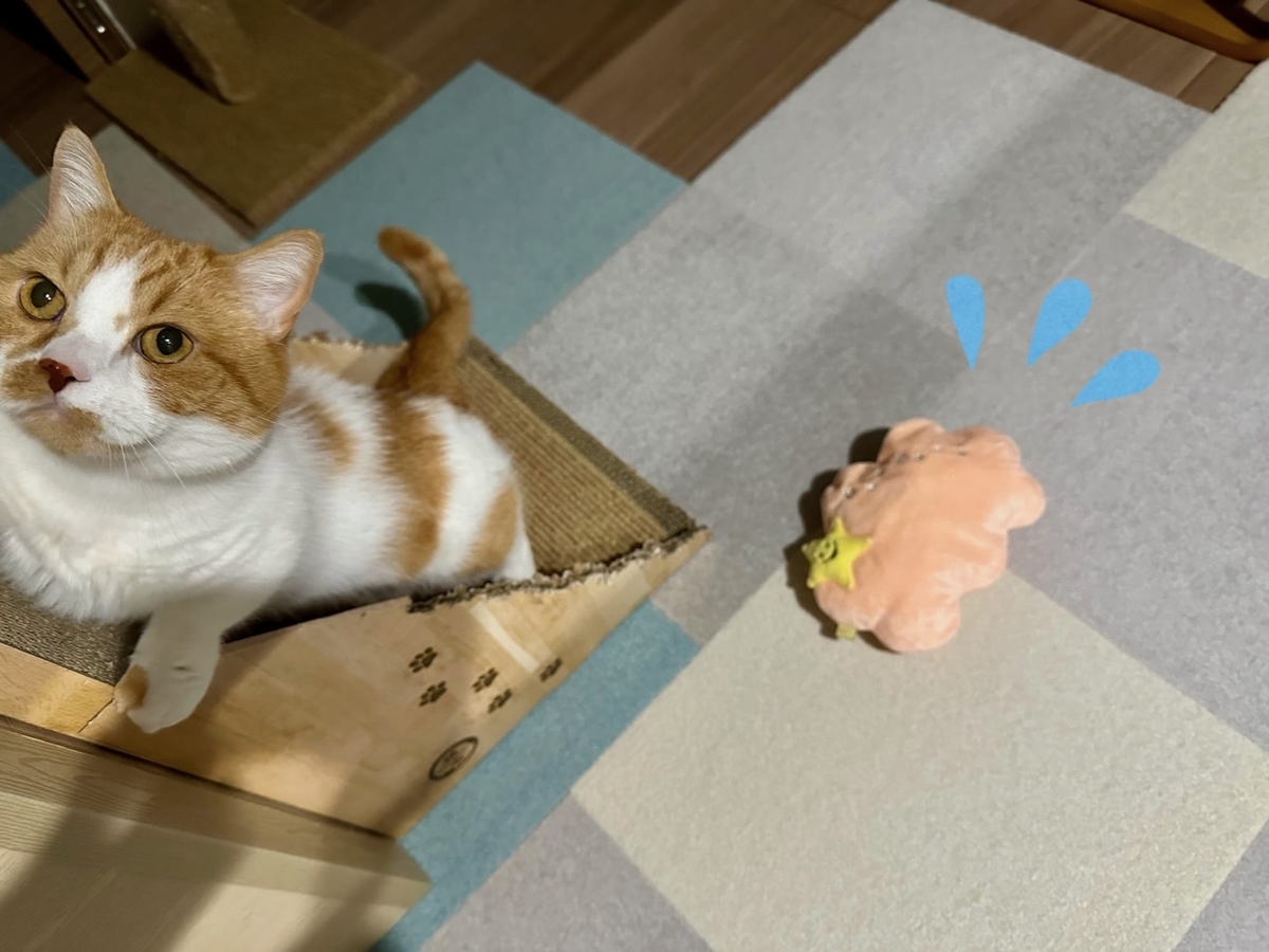 もなちゃんの落とし物2