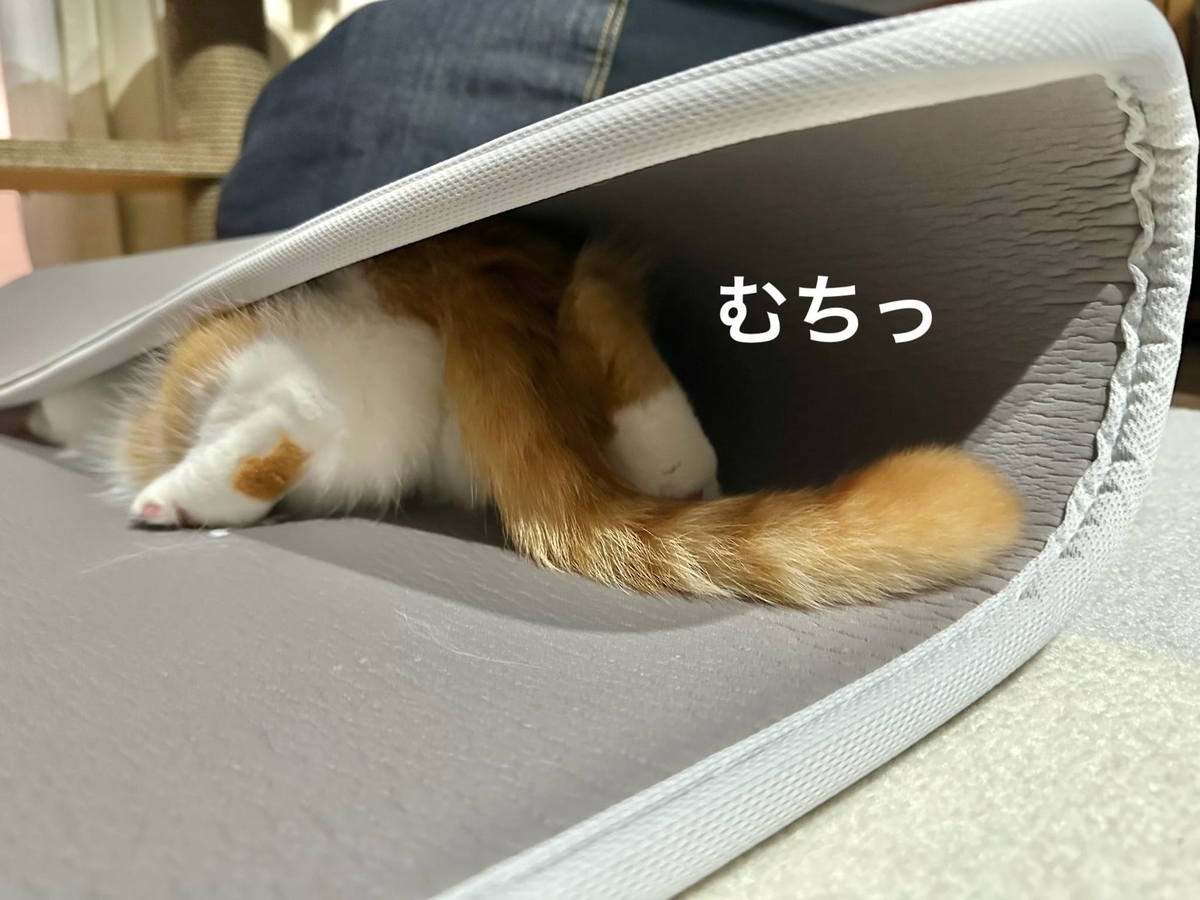 マットに潜むるるちゃん2