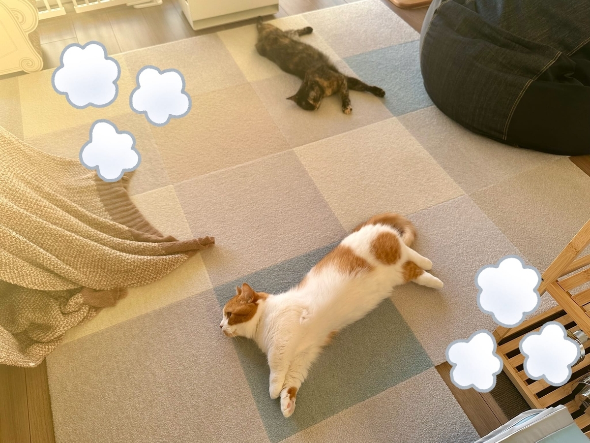 床暖にとろけるるるもな2
