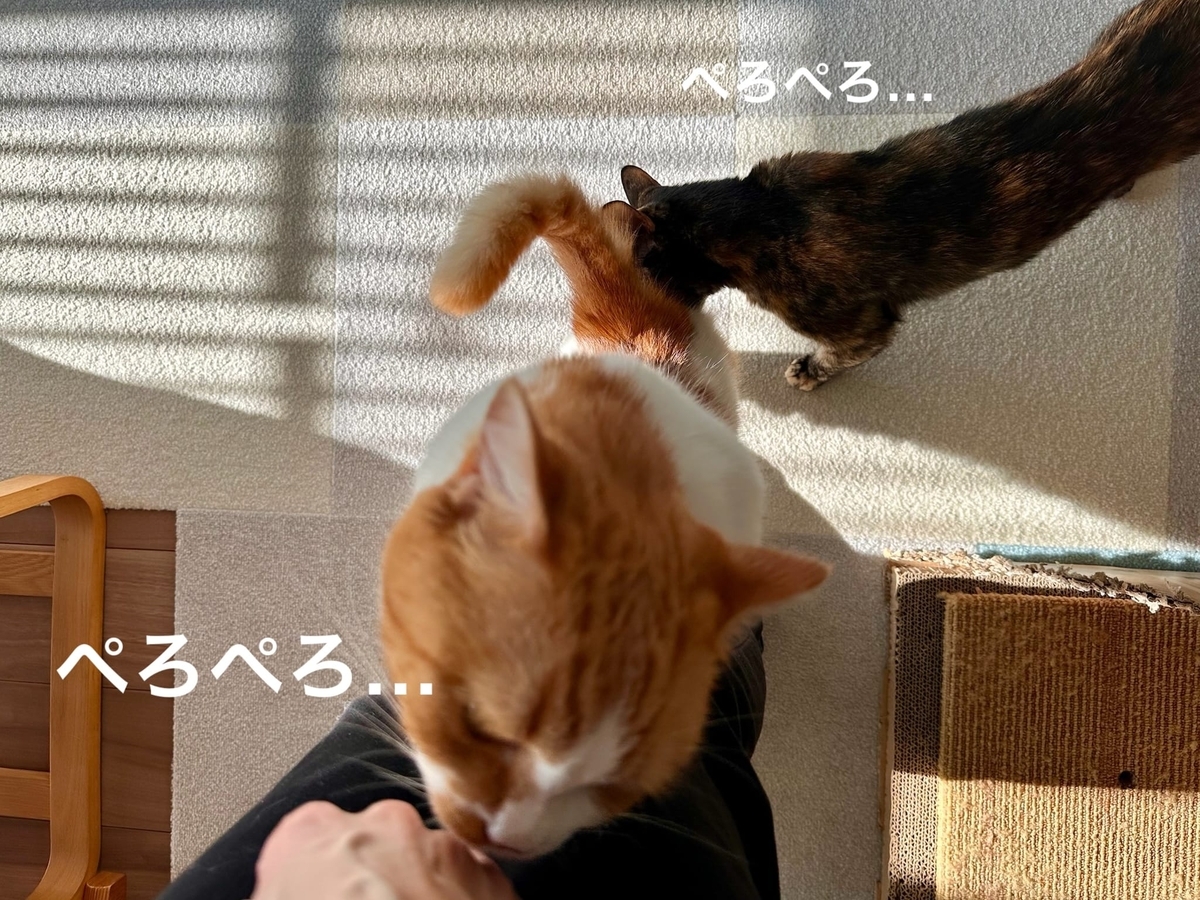ぺろぺろ連鎖