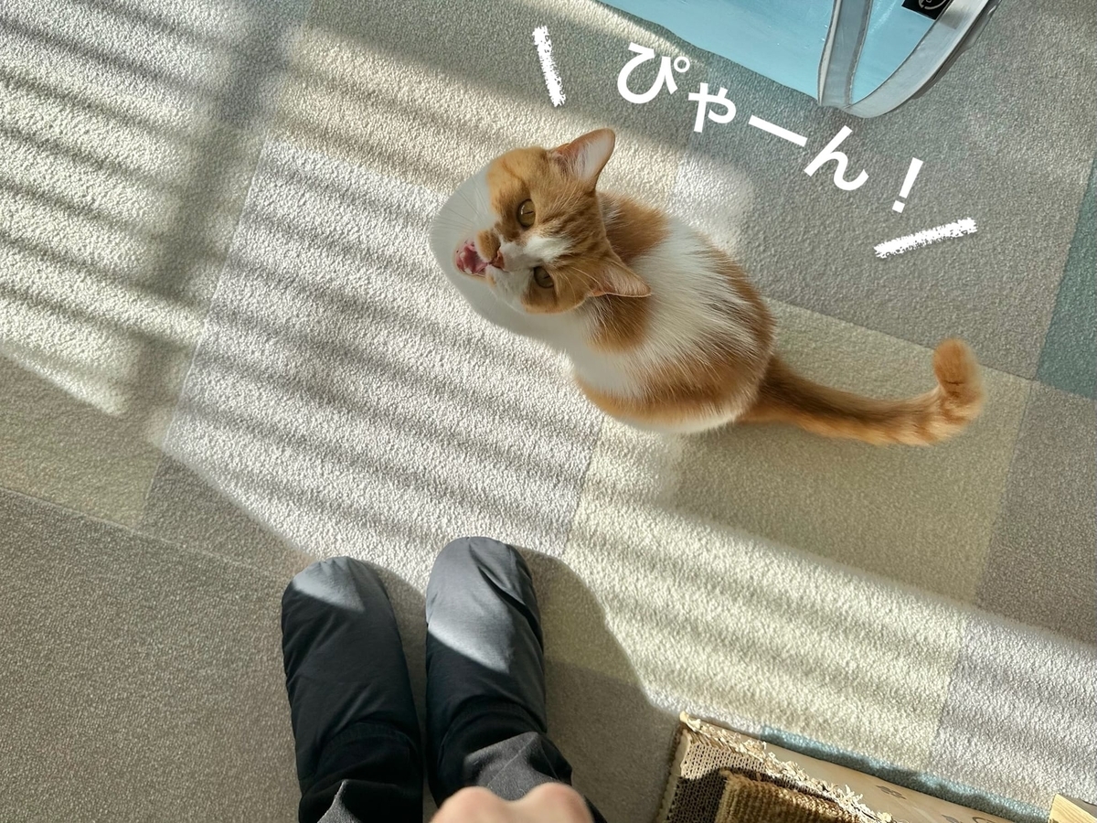 おねだりるるちゃん