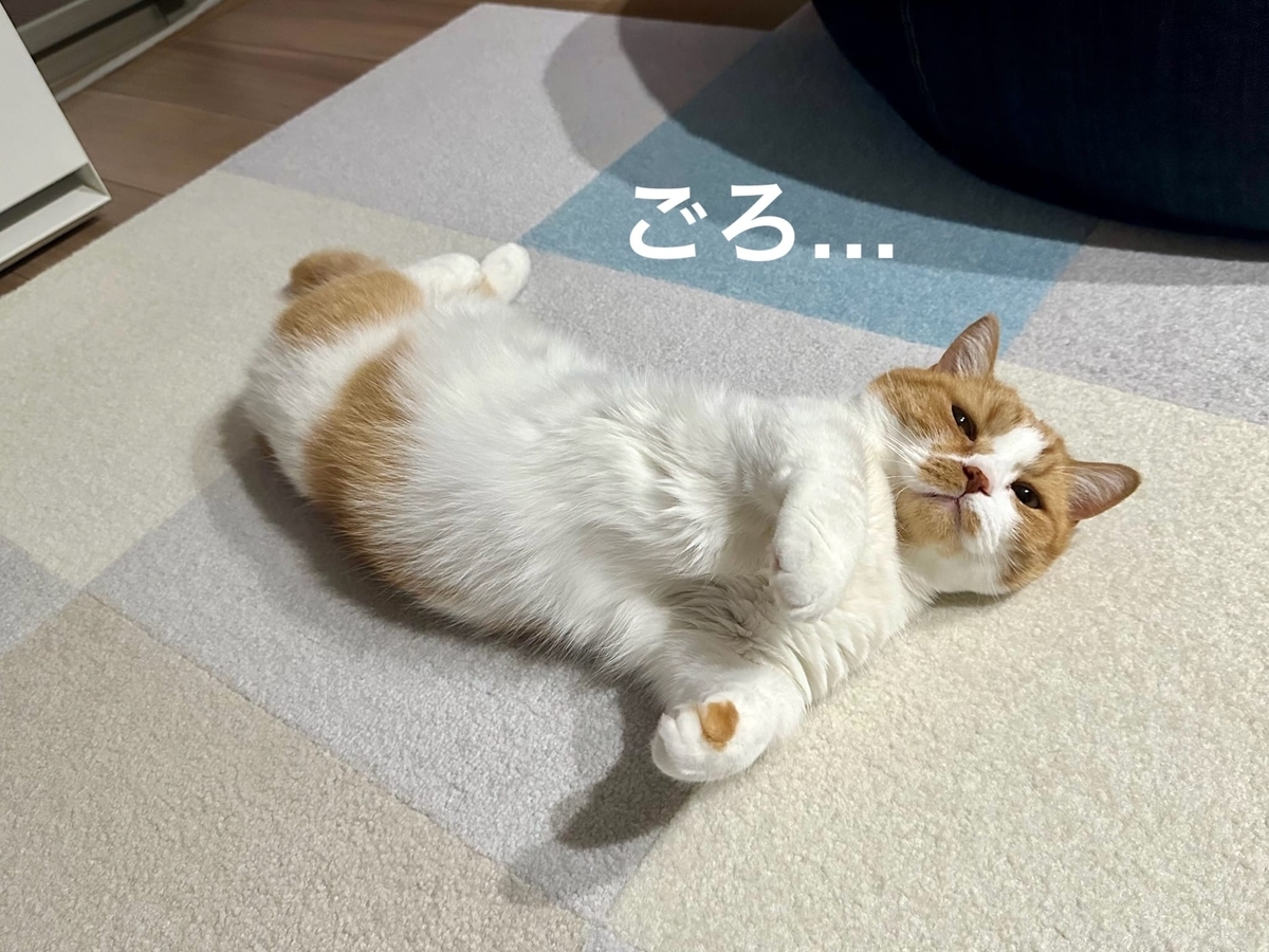 床に転がるるるちゃん4