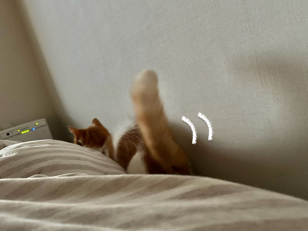 しっぽピーンるるちゃん