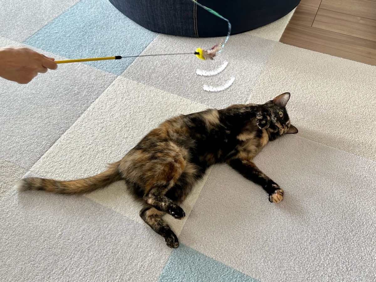 おもちゃタイムのもなちゃん4