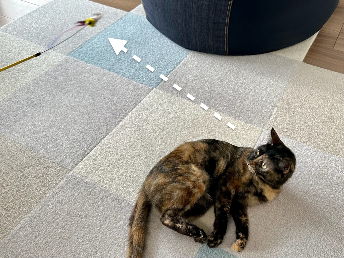 おもちゃタイムのもなちゃん1
