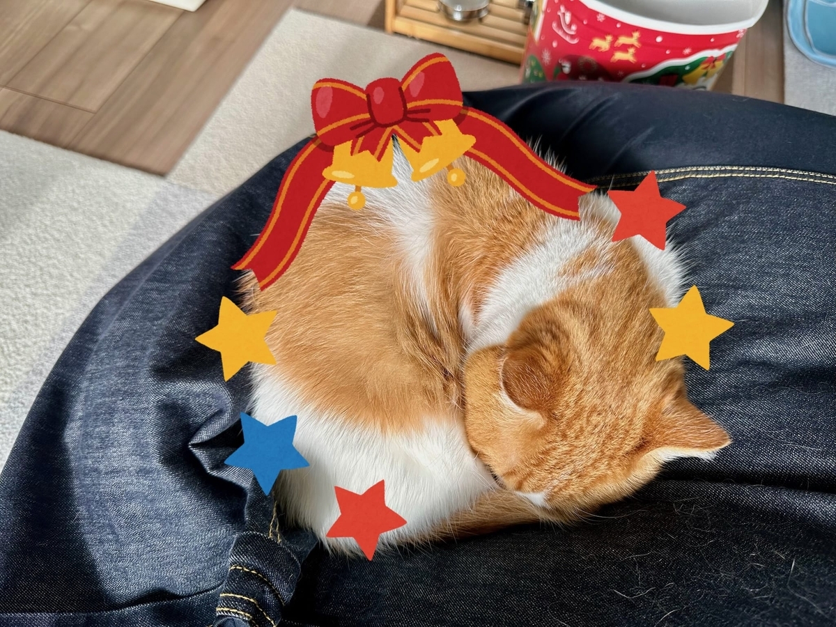 クリスマスリースるるちゃん
