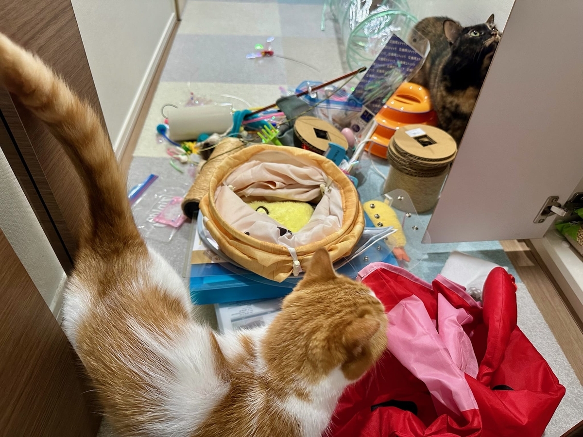 猫グッズの断捨離。 - るるもな。