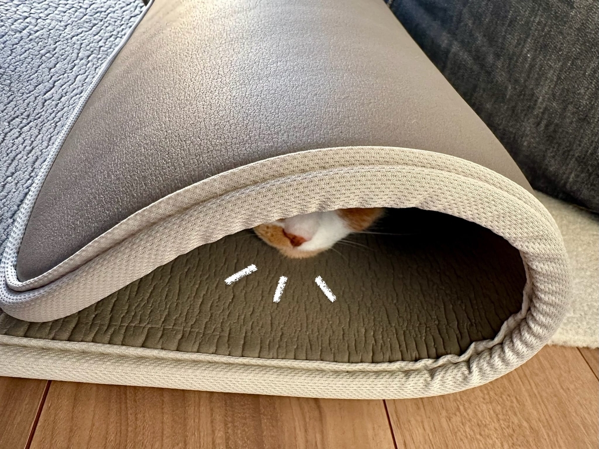 マットに潜むるるちゃん1