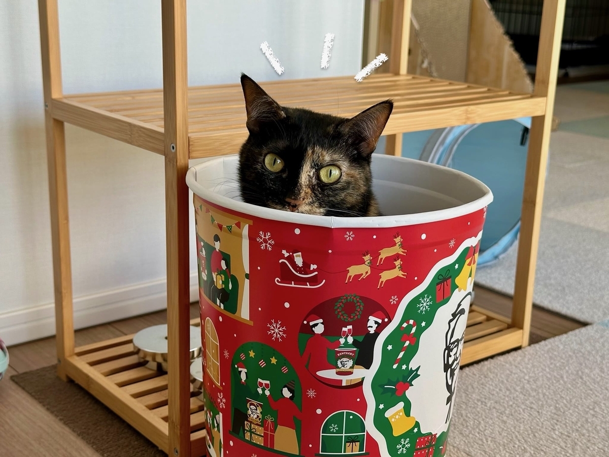 チキンバレルにINするもなちゃん