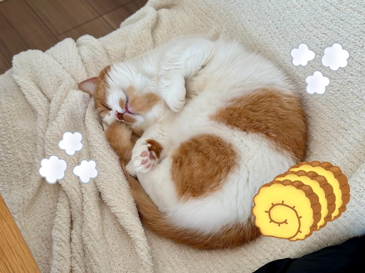伊達巻るるちゃん
