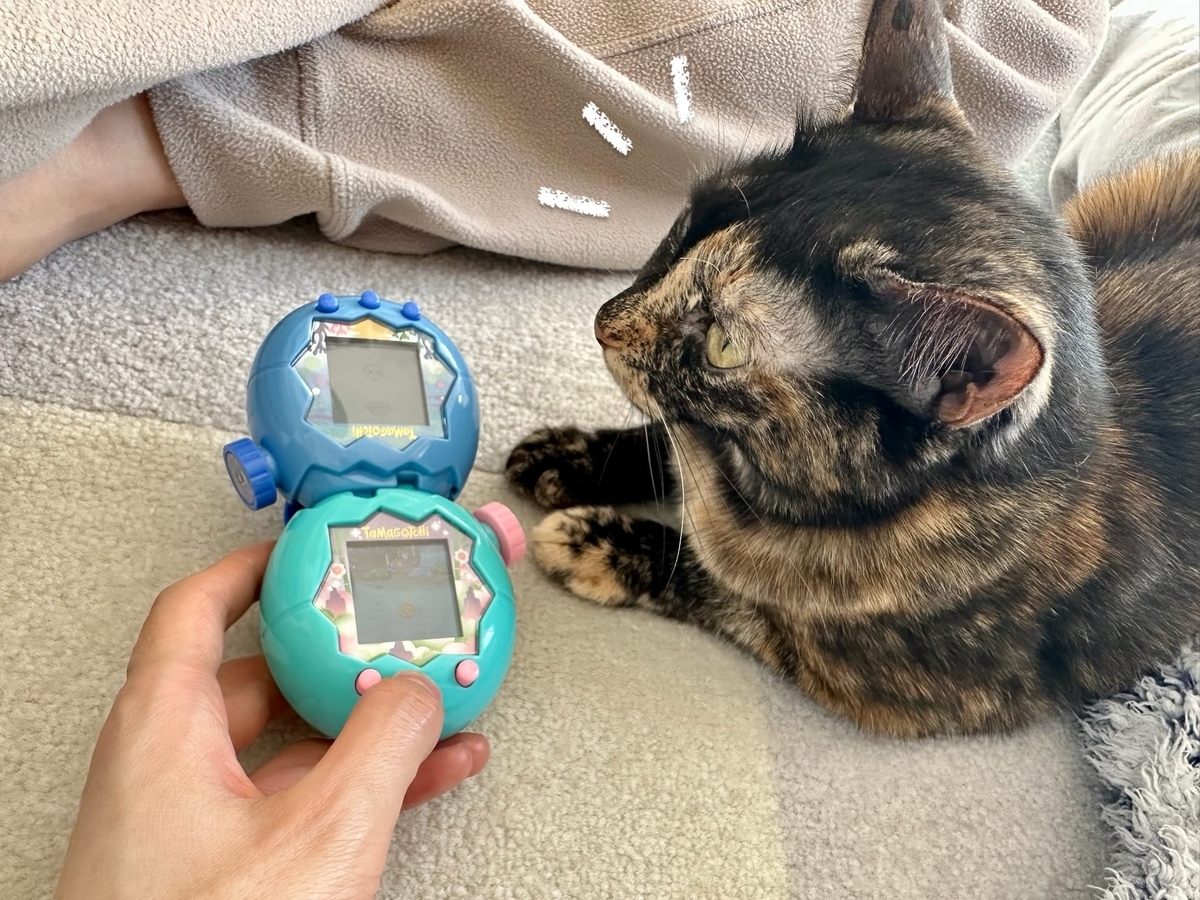 たまごっちに参加するもなちゃん1