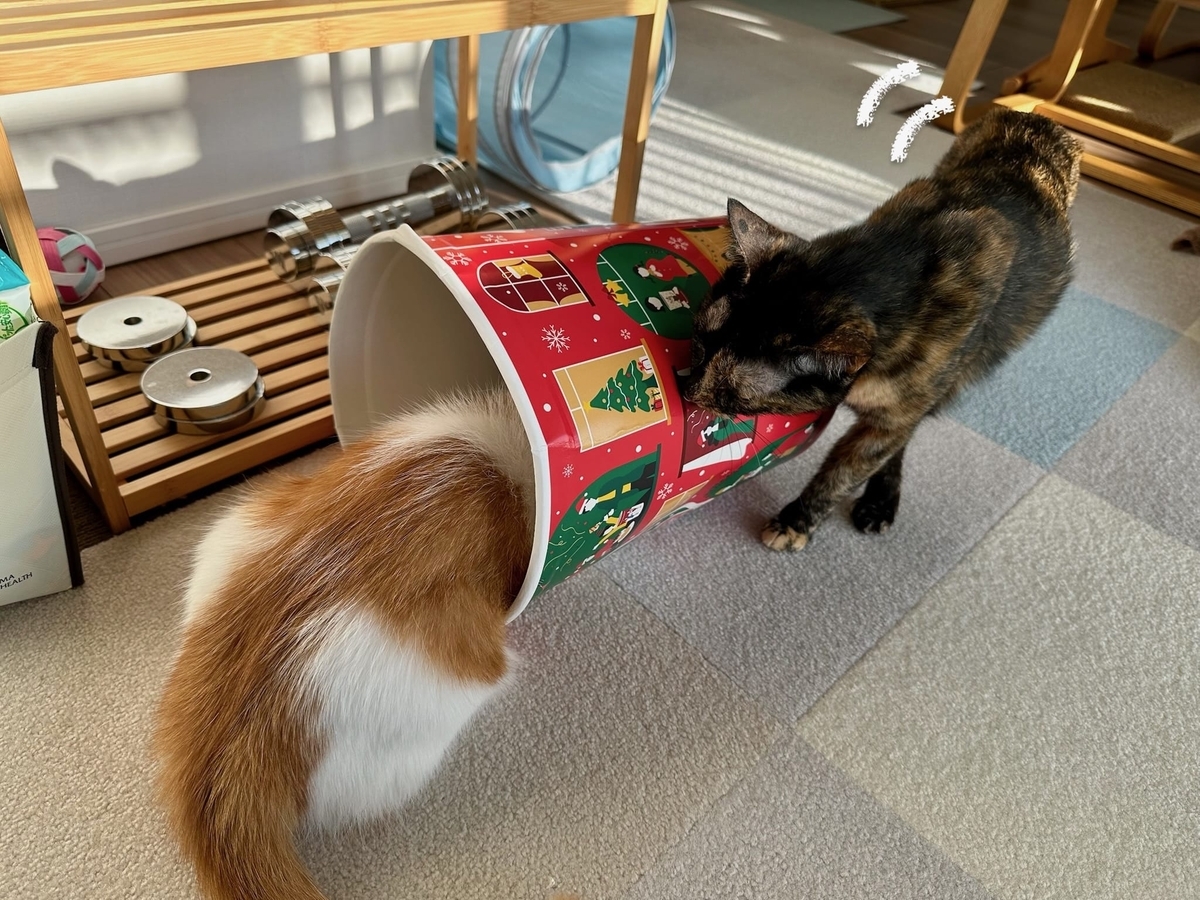 ケンタッキーに入りたいるるちゃん2