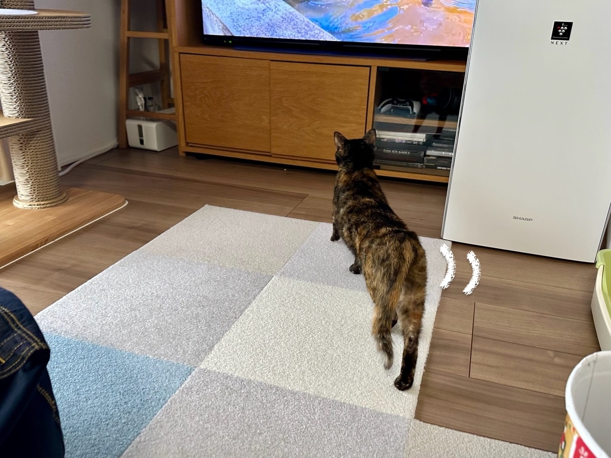 テレビっ子もなちゃん2