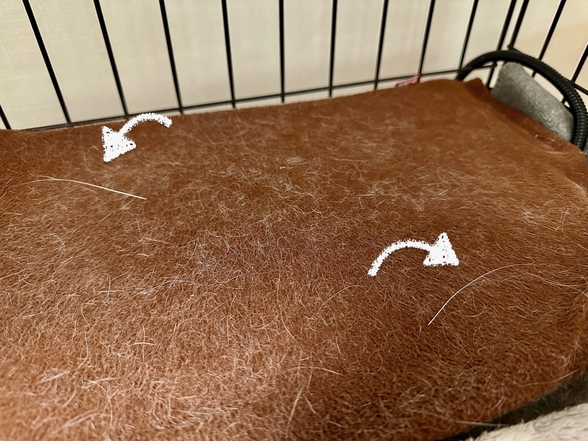 ホカぺについたおヒゲ