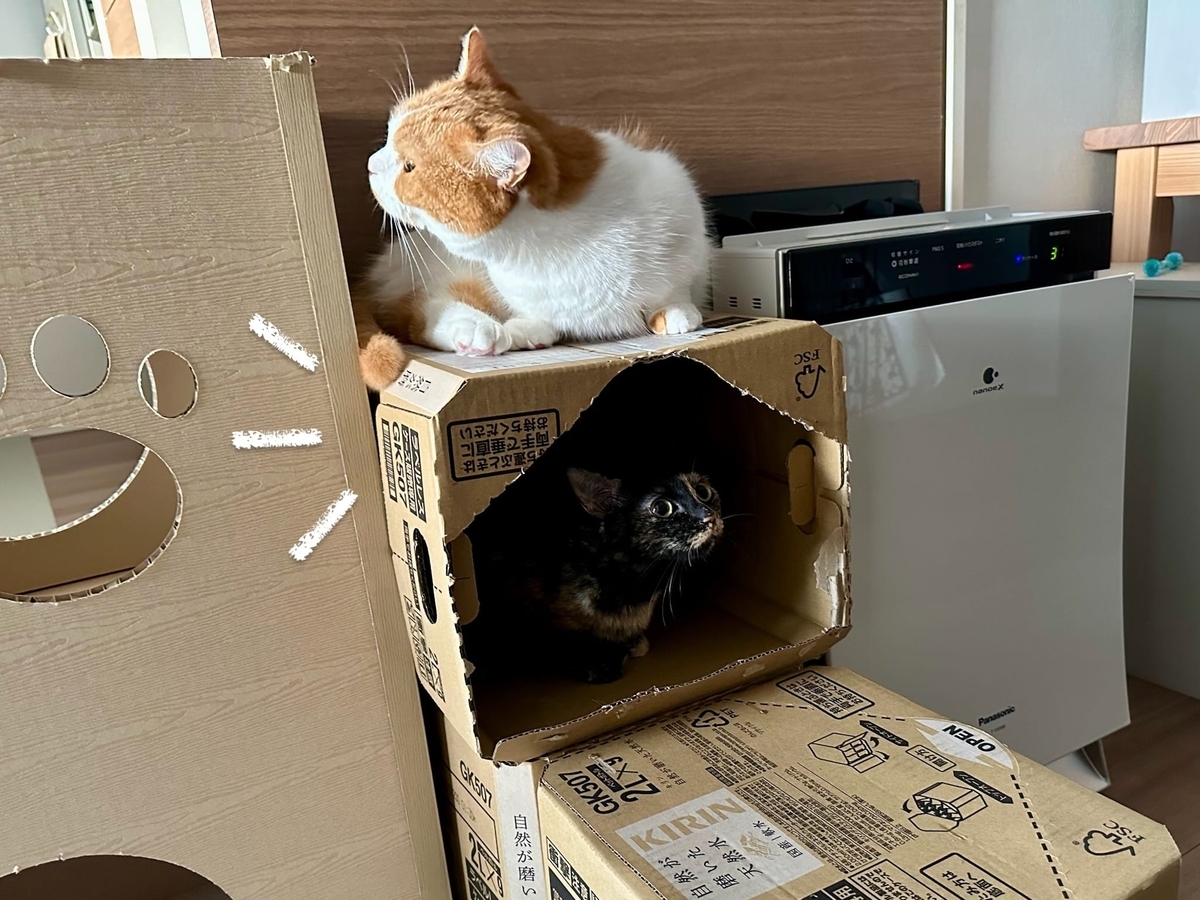るるもな探検隊