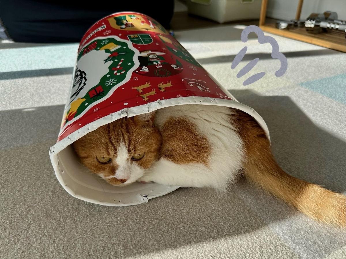 ケンタッキーの中のるるちゃん