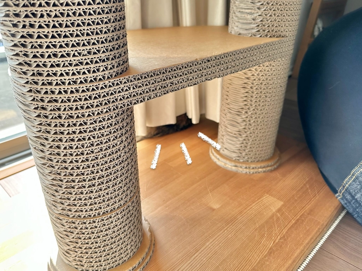 もなちゃんのかくれんぼ1