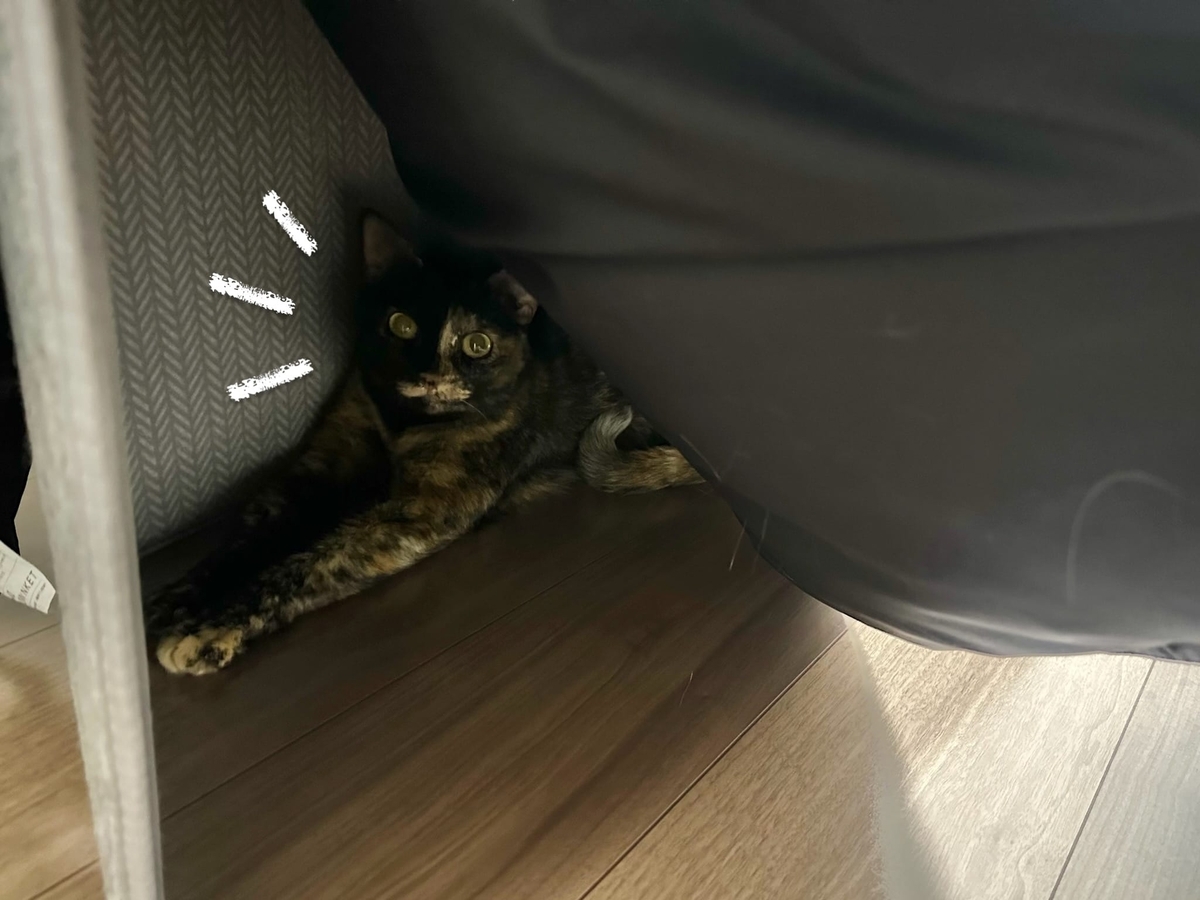 パネルヒーターに集うるるもな2