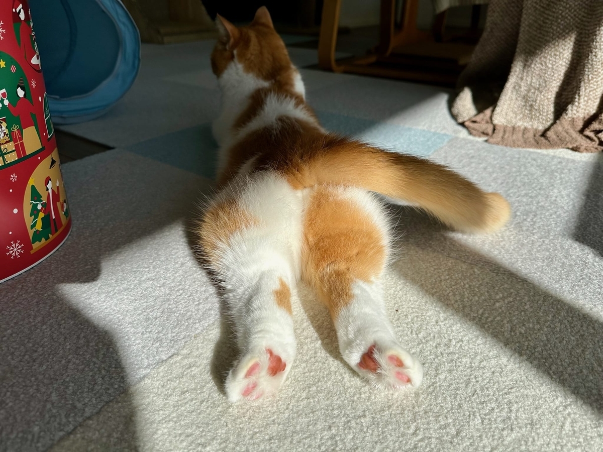もちもちおしり4
