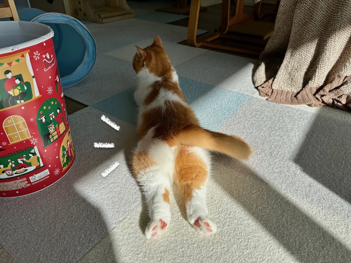 もちもちおしり1