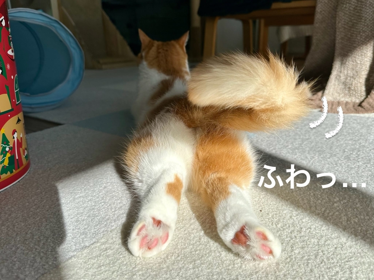 もちもちおしり2