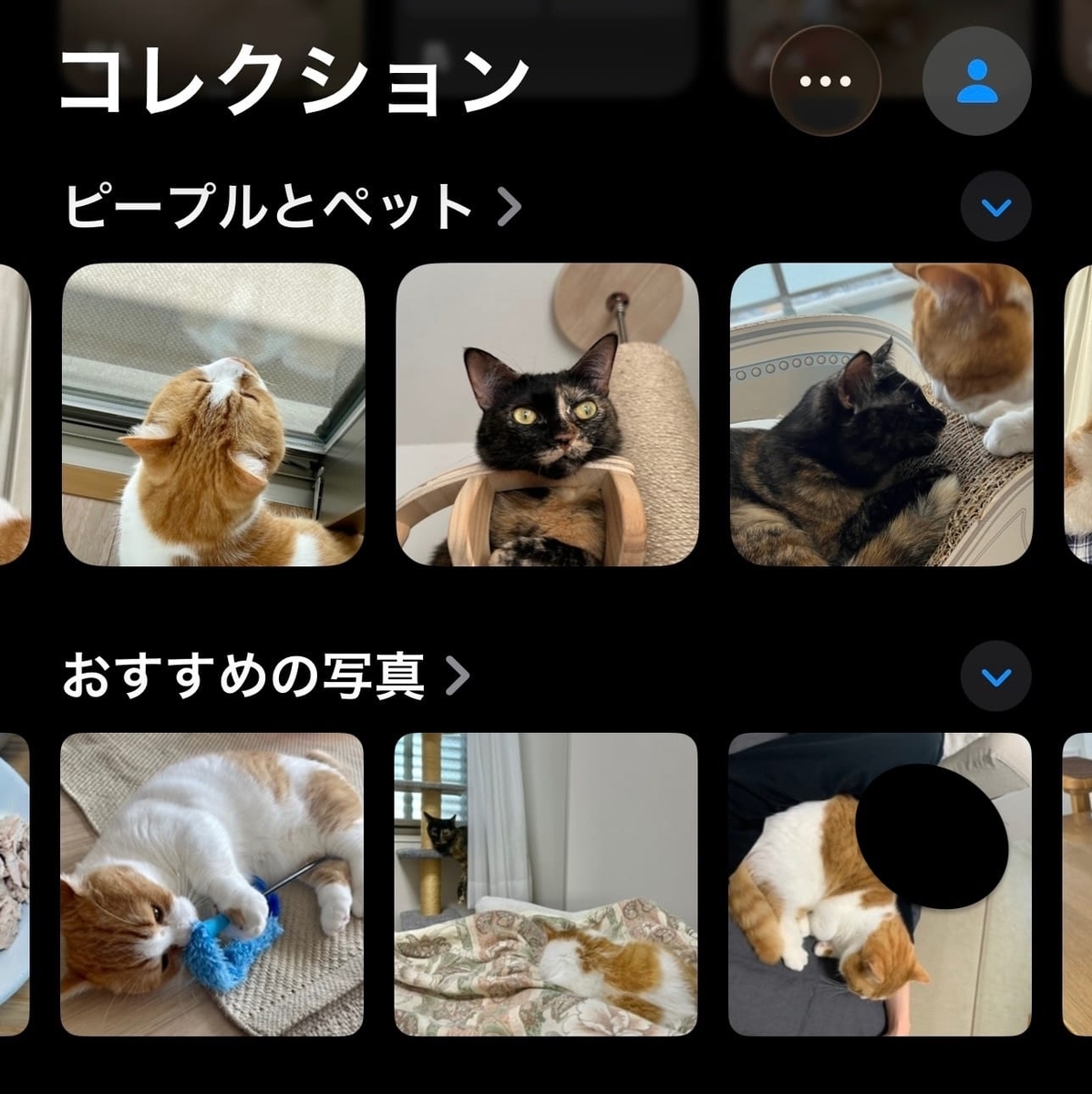 iPhoneのおすすめ写真