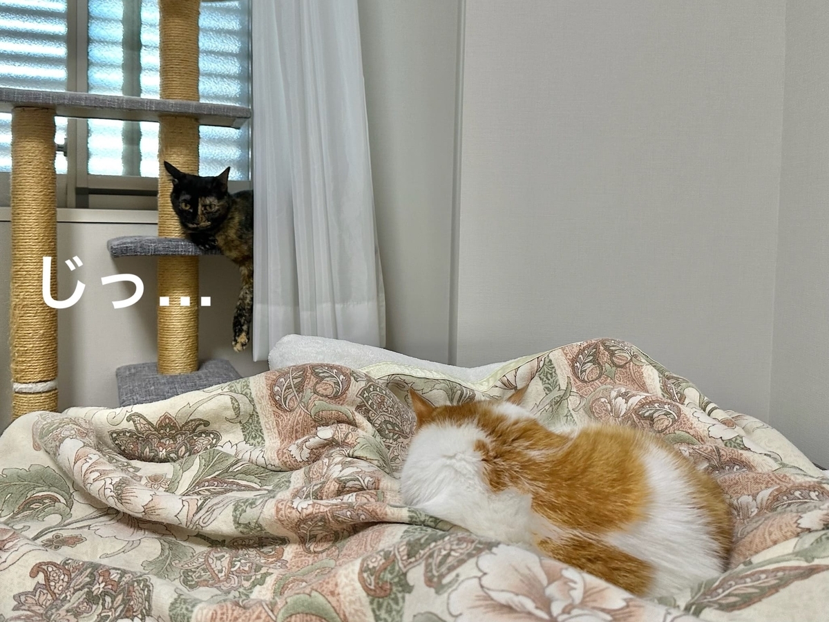 思い出の写真2