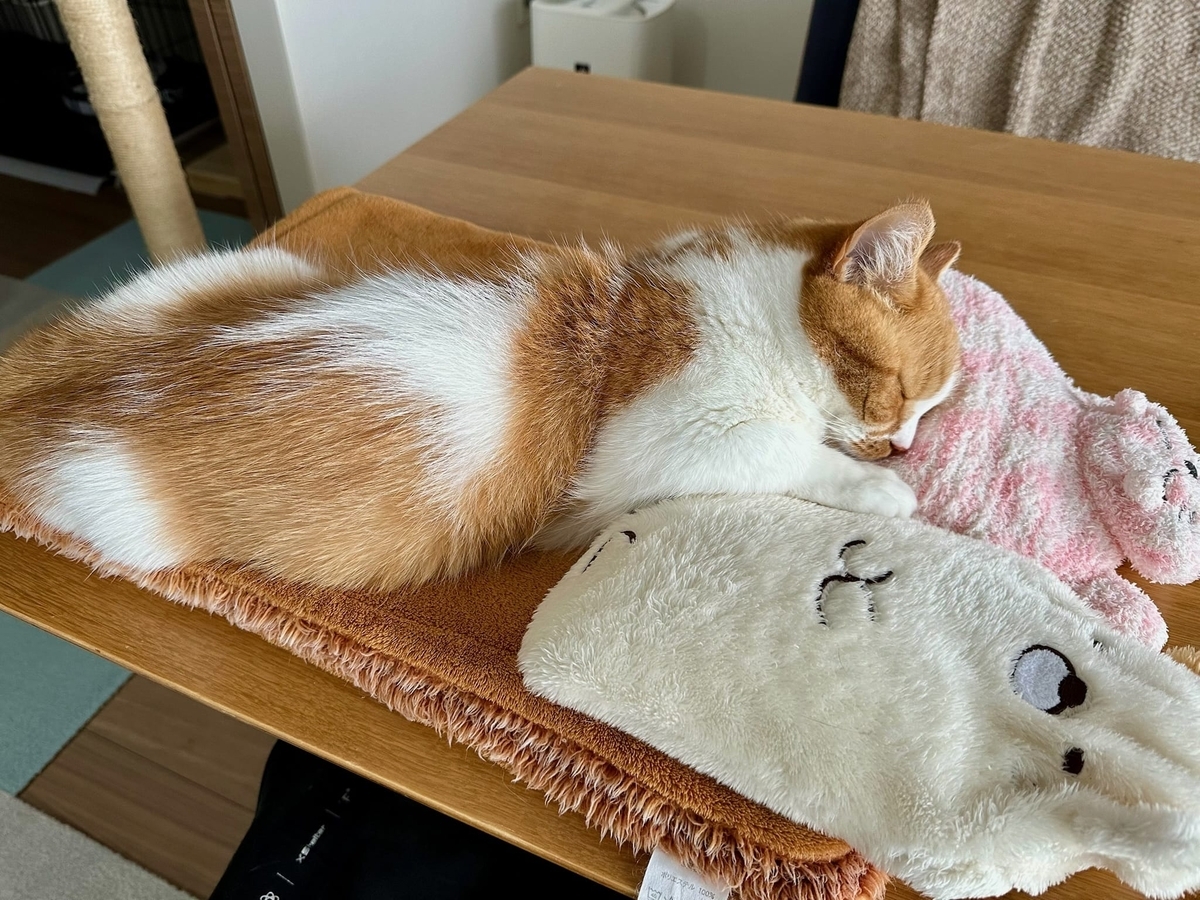 ぬくぬく過ごするるちゃん2